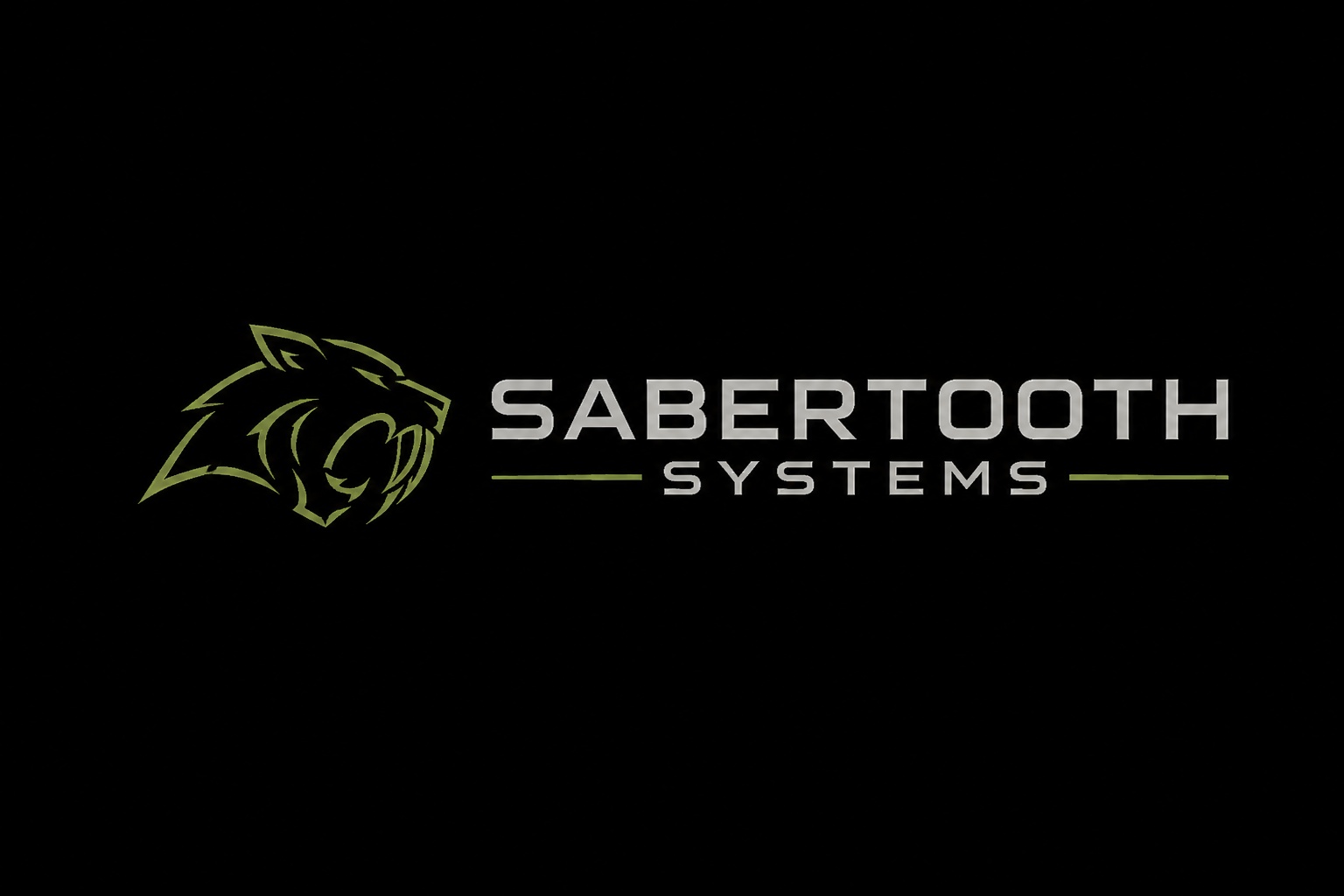 sabertooth-systems.com